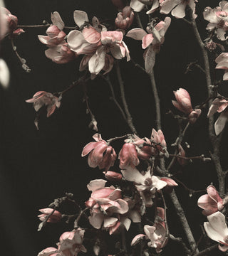 drying flowers on thick stems 
