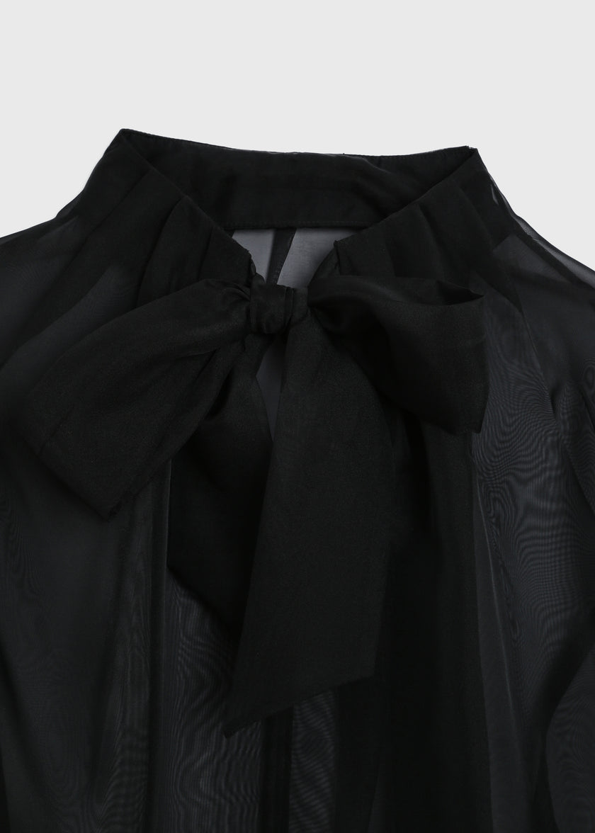 Ruesophie Monnaie Tie Neck Organza Top in black. Sheer, oversized top with a tie neck, perfect for elegant evening wear.